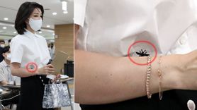 김건희 여사, 이번엔 175만원 꿀벌 셔츠? 투표소 패션 대란 조짐