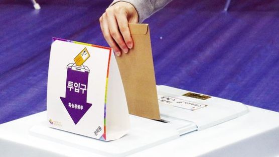 사전투표율 최종 20.62%…역대 지방선거 최고치