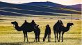 몽골 공무원에 "갈빗집 가시죠"…1년치 회식비 몽땅 날린 사연