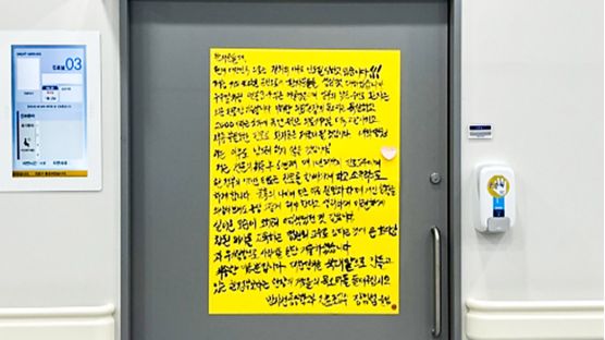 "정부가 한국 쑥대밭으로"…서울대병원 교수 쓴 '사직의 변' 논란