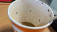 스페인 공항서 자판기 커피 마신 女 '쇼크'…컵엔 벌레 우글